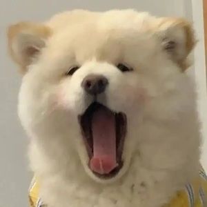 Meet your Posher, Jaremyjaycub